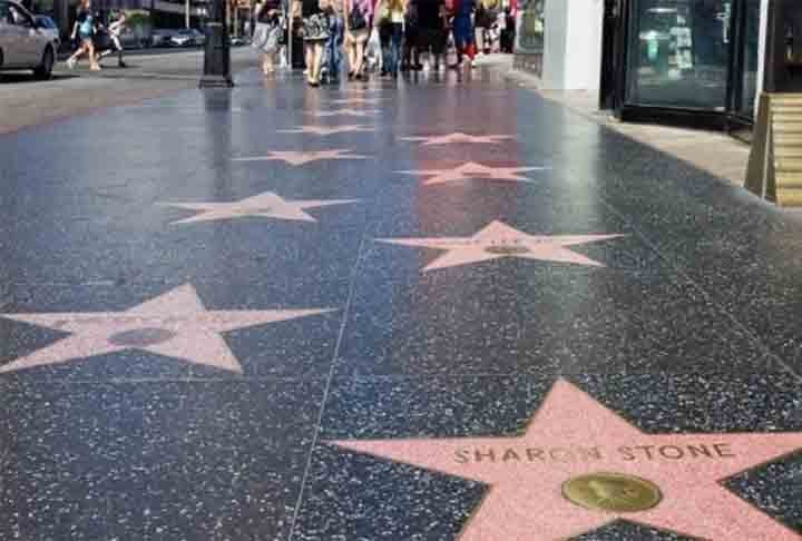 O espaÃ§o foi idealizado em 1953 por E.M.Stuart, presidente da CÃ¢mara do ComÃ©rcio de Hollywood Ã  Ã©poca. 
