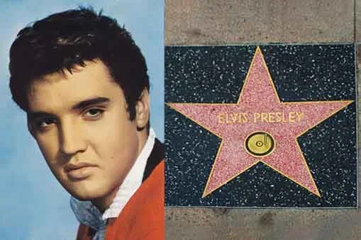 Ao longo do caminho, são homenageadas com placas em formato de estrelas celebridades de diversos segmentos, como o "Rei do Rock and Roll" Elvis Presley. 
