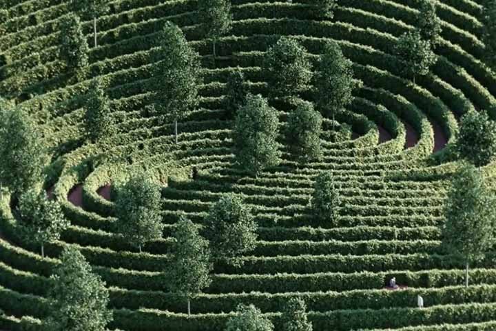 Ao portal internacional Dezeen, Chris Precht afirma que se questionou “como seria um parque e como funcionaria se tivesse as regras de distanciamento social como diretriz de design?" Além de indagar sobre "o que podemos aprender com um espaço como este que ainda tem valor depois da pandemia?”.