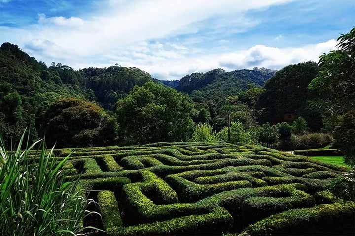 Criado em Campos do Jordão, no ano de 2007, o Parque Amantikir possui 28 jardins com mais de 700 espécies de plantas ao longo dos 60.000m², abertos à visitação durante todos os dias do ano com cenários encantadores. -Instagram @amantikir