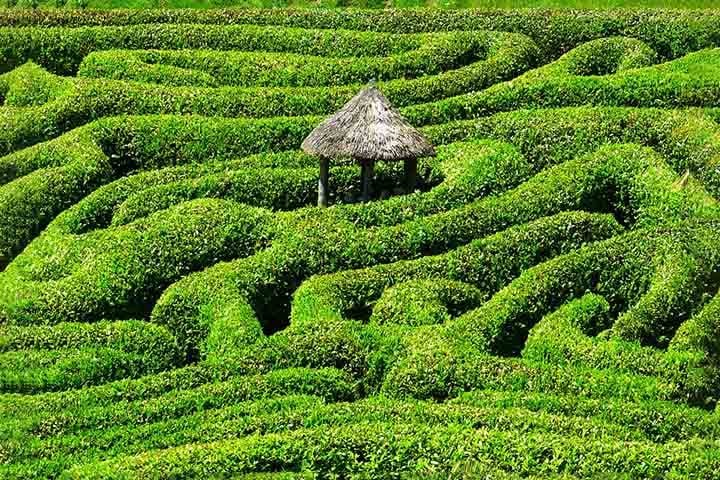 Glendurgan Garden é um jardim do National Trust situado acima do vilarejo de Durgan, no rio Helford e perto de Mawnan Smith , na freguesia de Mawnan, Cornualha , Inglaterra , Reino Unido. O jardim é notável por um labirinto de louro cereja , criado em 1833.