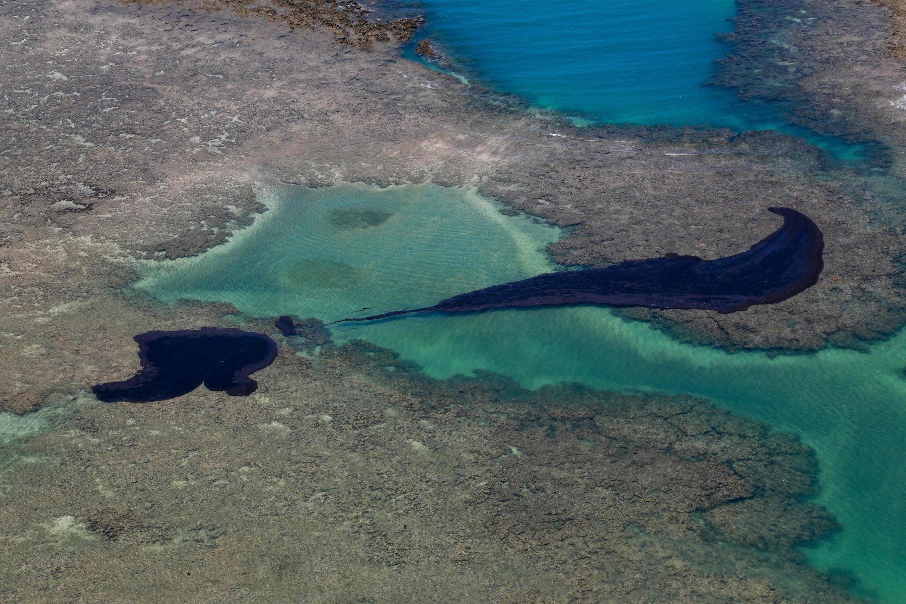  (FILES) Handout picture released by Pernambuco State Government showing oil spilled on Peroba beach, located at the city of Maragogi, Alagoas state, Brazil, on October 17, 2019. A Greek-flagged tanker is the main suspect in oil spills that have been appearing off the coast of Brazil for two months, the defense ministry said on November 1st, 2019. The oil began appearing in early September and has been seen along a 2,000-kilometer (1,200-mile) stretch of the northeastern Atlantic coast. Separately, police raided the offices of a company linked to the owners of the ship, federal police said.
 - RESTRICTED TO EDITORIAL USE - MANDATORY CREDIT 