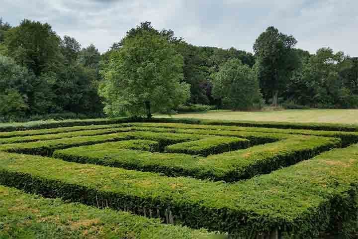"Nossa pesquisa descobriu que caminhar no labirinto pode promover uma sensação de paz e outras emoções positivas, reduzir o estresse, cultivar a autocompaixão e a conexão e fornecer uma oportunidade para reflexão sobre a vida e a construção de significado.", completou.