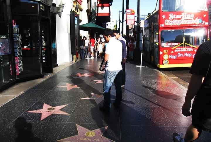 Ao todo, são seis as categorias contempladas nas calçadas de Los Angeles: cinema, esportes, música, rádio, televisão e teatro. 
