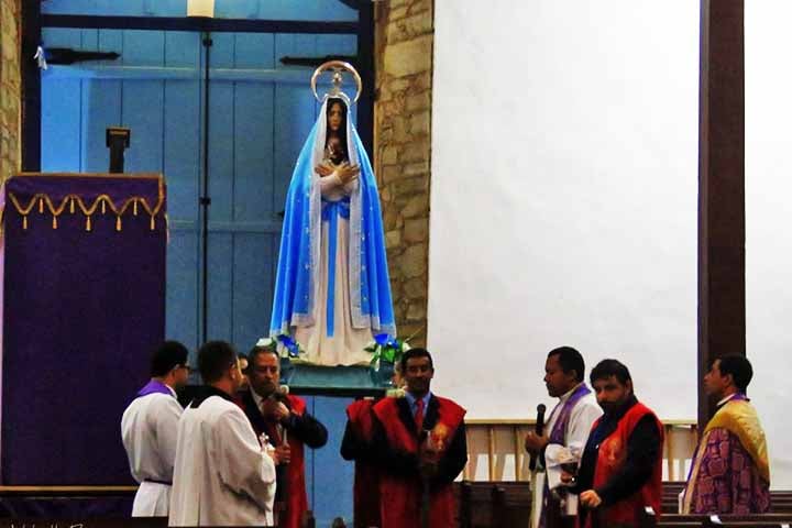 Em ofício à Diocese de Anápolis, o Iphan declarou que a restauradora do orgão, Virgínia Conrad Lopes da Silva, não foi informada da necessidade de restaurar a imagem quando esteve na igreja, em março.
