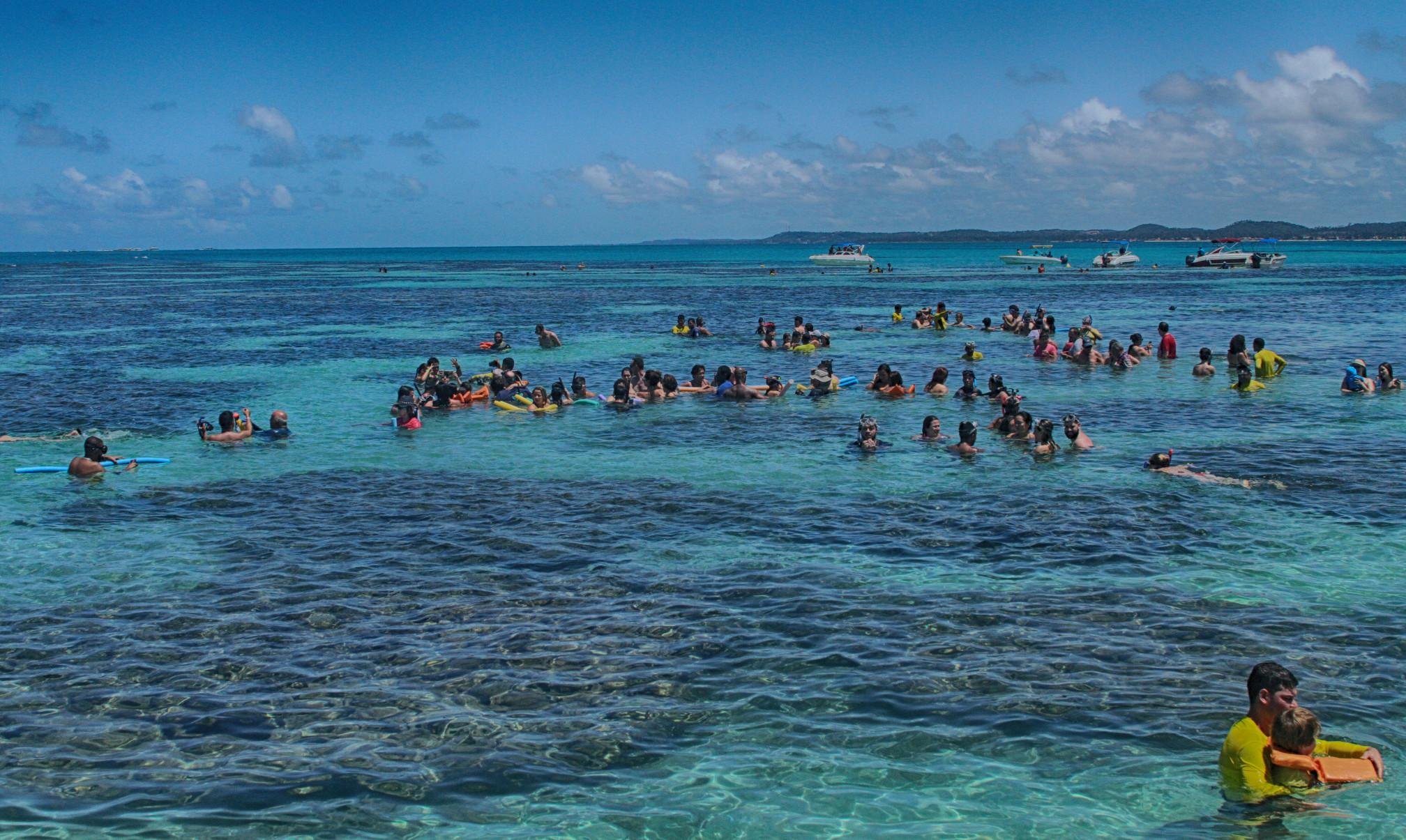  04/04/2018. Credito: Edesio Ferreira/EM/D.A Press. Brasil. Maragogi - AL. Turismo em Alagoas. Mergulho nas piscinas naturais.
      - Edesio Ferreira/EM/D.A Press. Brasil. Maragogi - AL. Turismo em Alagoas. Mergulho nas piscinas naturais.