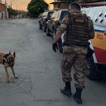 PF combate tráfico de drogas em Montes Claros - PMMG