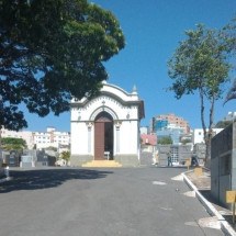 Crânio de mulher enterrada em 2001 é furtado no Centro-Oeste de Minas  - Reprodução/Redes Sociais 