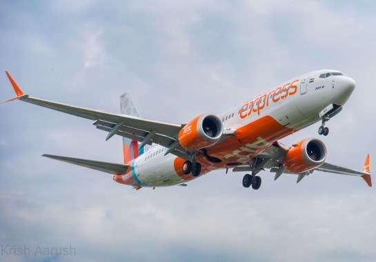 Wikipedia/Reprodução