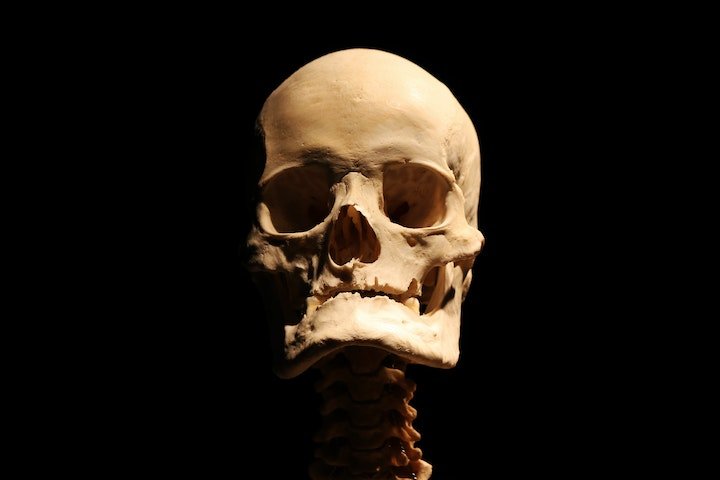 A observação de desgaste nos dentes em alguns crânios sinalizou também o uso de piercing no lábio inferior. 

