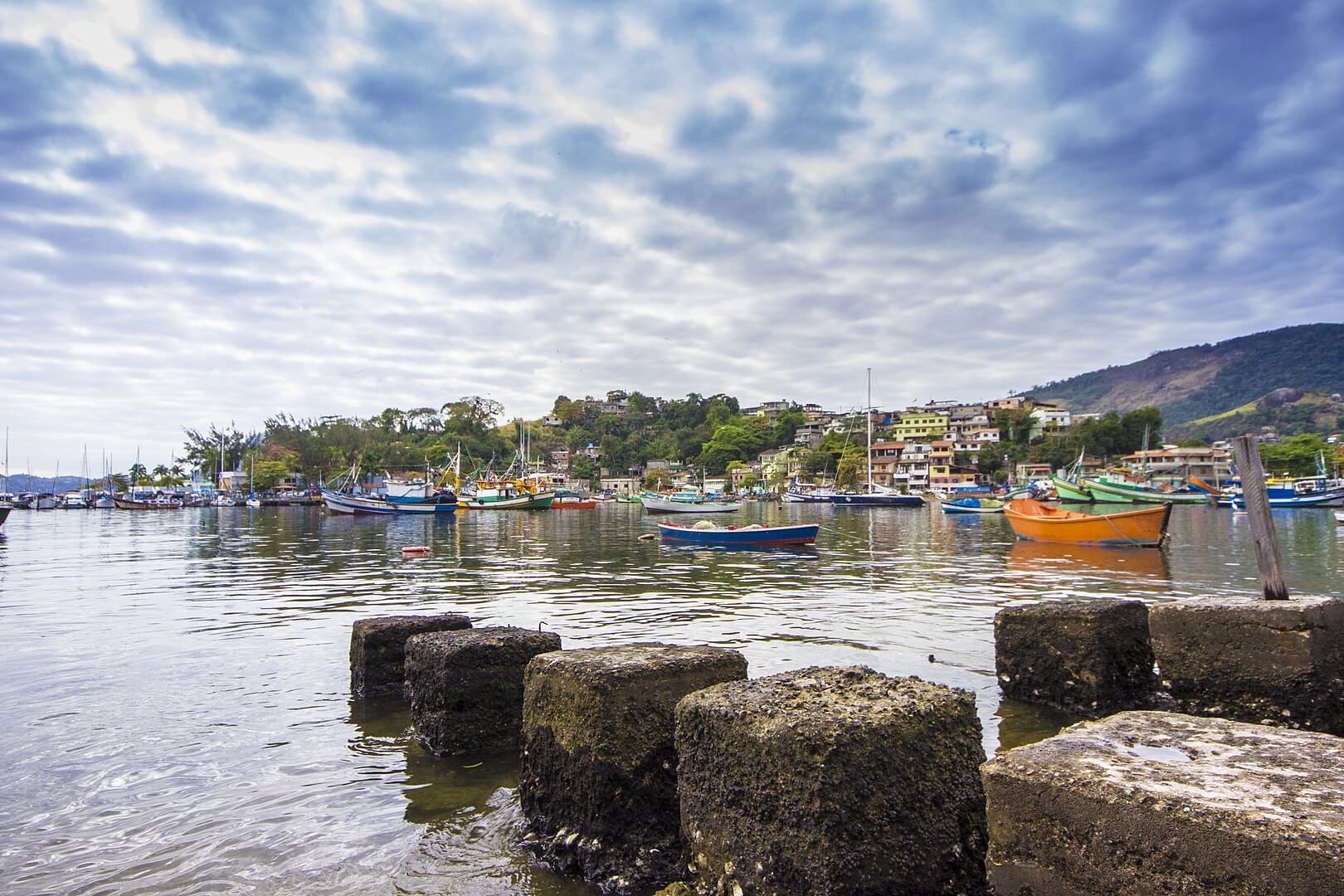 Em 2016, o bairro de Jurujuba, conhecido pela intensa atividade pesqueira, recebeu os primeiros mosquitos modificados em laboratório para uma ação contra a dengue em Niterói. Moradores acharam estranho quando souberam que autoridades de saúde estavam soltando um bocado de mosquitos pela rua. No entanto, era o "mosquito do bem".