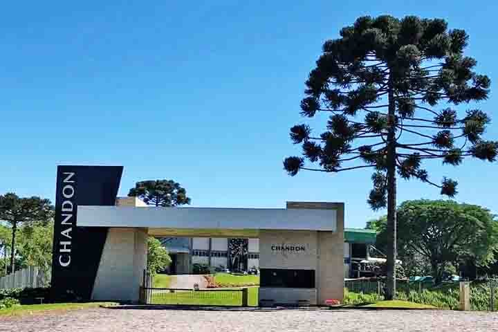 Já a Chandon, em Garibaldi (RS), oferece experiências refinadas em meio à natureza, com degustações em sua Casa-Container e no Terraço. Uma opção inclui quatro espumantes da linha Assinatura. -Divulgação
