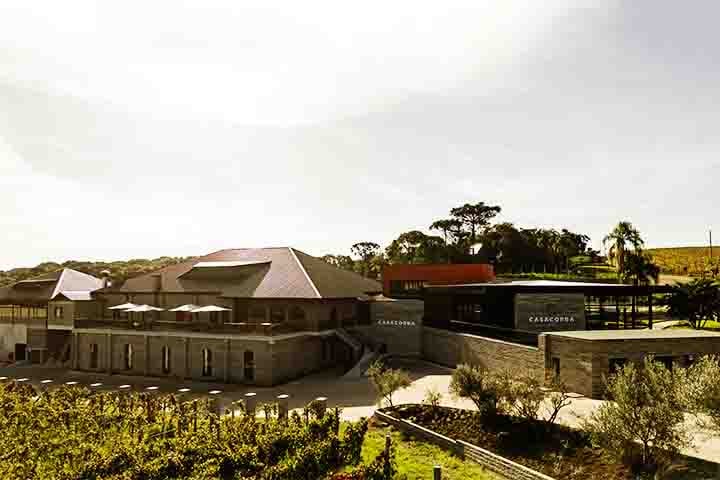 No local também há wine bar, restaurante e hospedagem nas charmosas cabanas da Villa Casacorba. Um refúgio de luxo e sabor no coração de uma região pouco explorada.-Divulgação