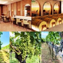 Vinícolas do Sul e um castelo de conto de fadas para completar a viagem - Instagram @castelosdovale