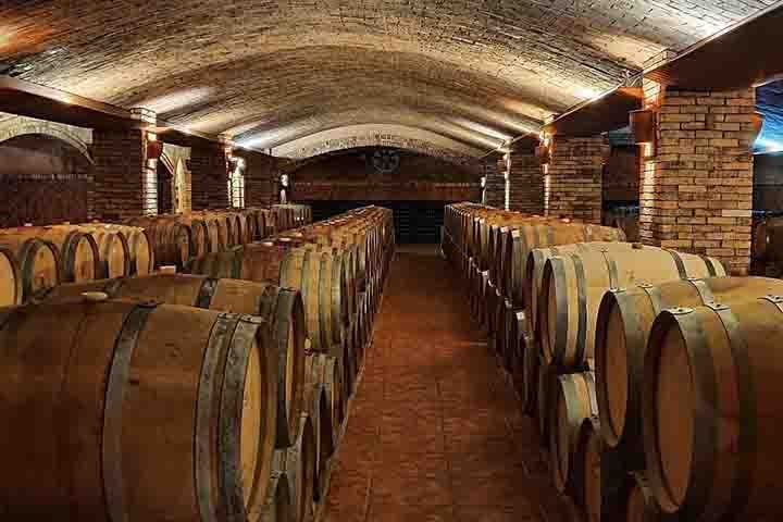 A degustação contempla vários rótulos e está incluída na experiência completa. A vinícola é uma das mais emblemáticas de Santa Catarina e oferece um tour sofisticado e cultural.-Divulgação