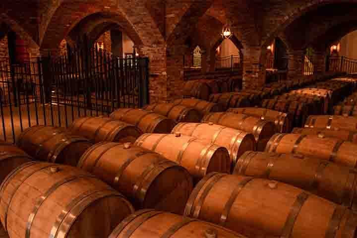 Também é possível fazer piqueniques entre os vinhedos. A vinícola, aliás, une tradição popular com experiências gastronômicas marcantes na Serra Gaúcha.-Divulgação