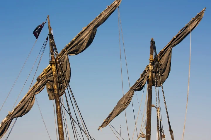 Originárias da África, as lagartixas chegaram ao Brasil por intermédio dos navios negreiros.