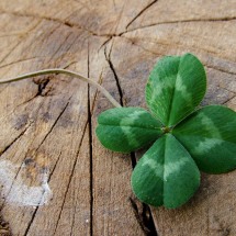 A sorte dos signos: elementos para te ajudar a ter mais sorte em abril - Wemystic