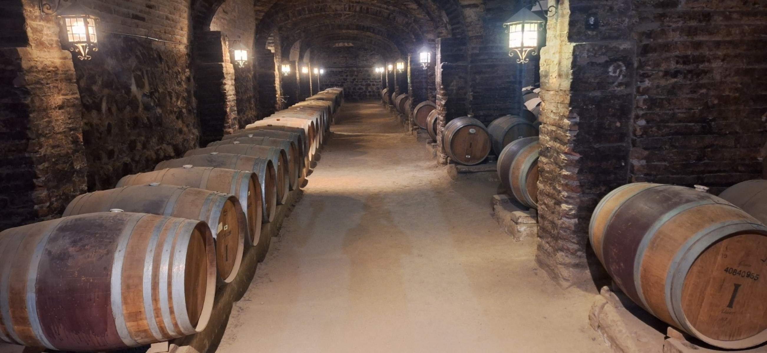 Adega da Viña Santa Rita, localizada na zona de pré-cordilheira do Alto Jahuel, em Buin-Lucas Lanna Resende/EM/D.A. Press