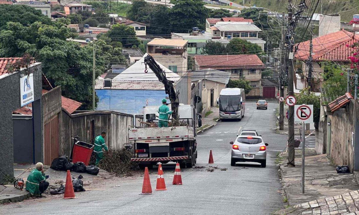 Equipes da Prefeitura de Belo Horizonte realizam a retirada dos galhos da árvore na manhã desta segunda-feira -  (crédito: Edésio Ferreira/EM/D.A Press)