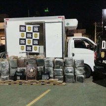 Polícia apreende 800 kg de maconha que seriam distribuídos em BH - PCMG / Divulgação