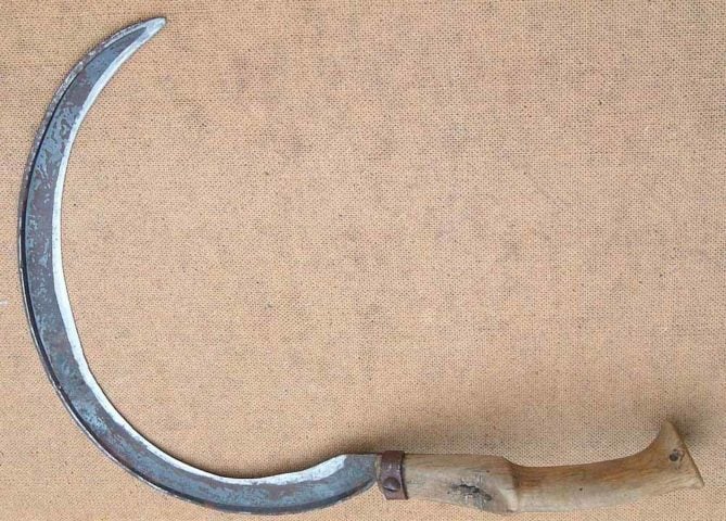 Uma mulher, cujo túmulo estava próximo ao da criança "vampira", foi encontrada com um dedo do pé trancado com cadeado e uma foice de ferro no pescoço. 