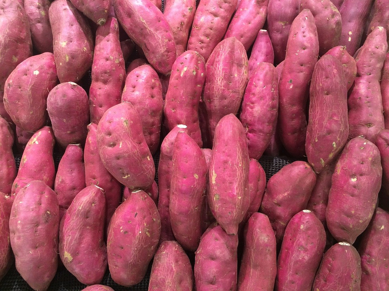 Com suas diversas cores – que vão do branco ao roxo, passando pelo creme e pelo alaranjado – esse alimento é mais do que um simples acompanhamento; é um verdadeiro aliado nutricional, podendo até mesmo ser consumido em forma de suco (leia até o fim).