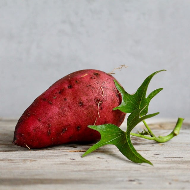 Um dos grandes destaques da batata-doce é a sua alta concentração de betacarotenos. Este potente antioxidante, além de conferir a cor vibrante, atua protegendo as células do corpo contra danos causados por radicais livres e inflamações.