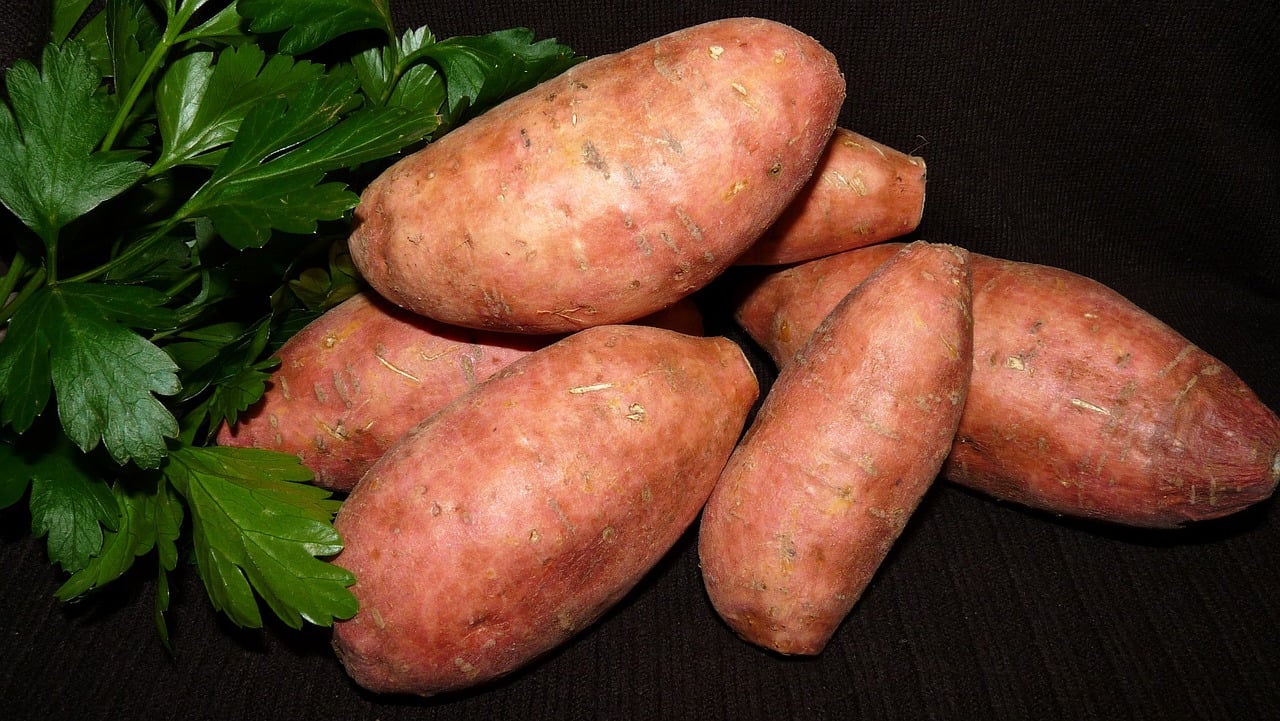 A presença da vitamina C também contribui significativamente para essa proteção, tornando a batata-doce um alimento essencial para quem busca manter a pele saudável e combater os sinais de envelhecimento.