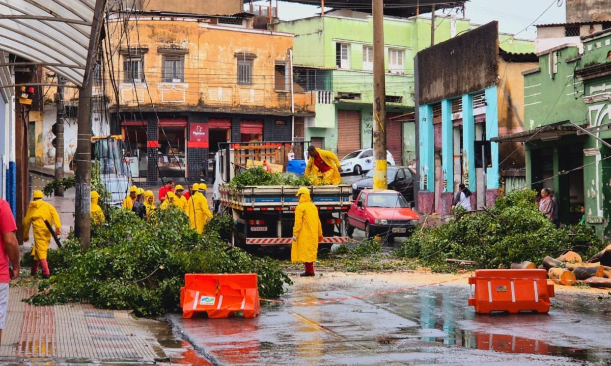Árvore cai na rua Itapecerica, no bairro Lagoinha, em BH e causa falta de energia elétrica na região  -  (crédito: Jair Amaral/EM. D.A Press)