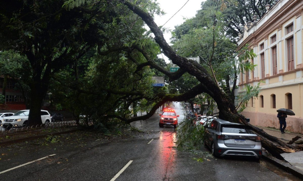 Queda de &aacute;rvore de grande porte destruiu carro e bloqueou a Av. Get&uacute;lio Vargas   -  (crédito: T&uacute;lio Santos/EM/D.A Press)