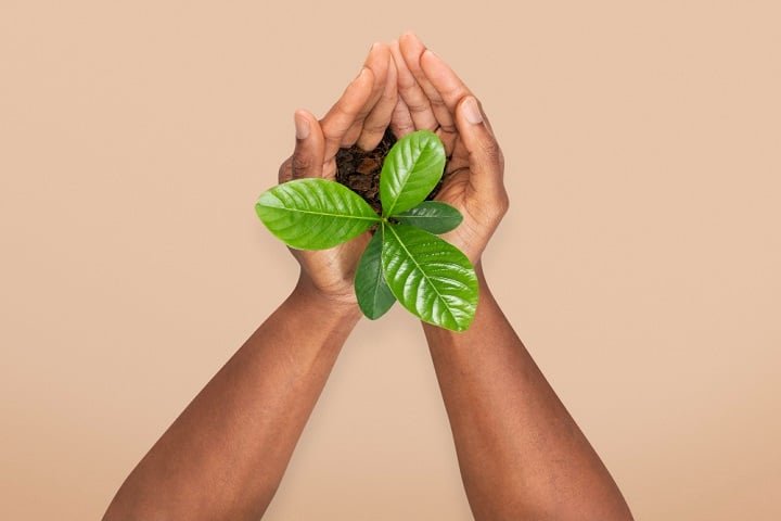 A iniciativa também tem um caráter educativo, ensinando crianças e adultos sobre sustentabilidade, consumo consciente e cuidado com os animais.