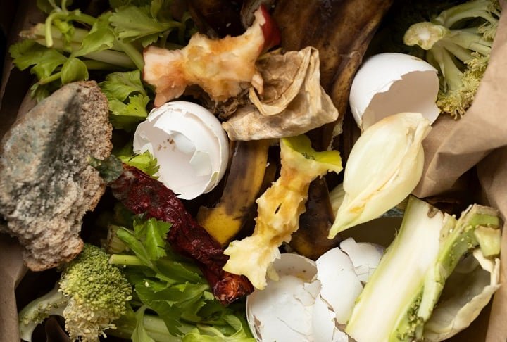 Especialistas alertam que, embora útil, a solução não substitui a redução do desperdício de alimentos na origem. 