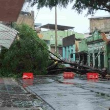 Pessoas ilhadas e queda de árvore: transtornos da chuva em BH - Gabriel Felipe
