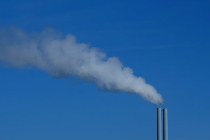 Cidades distribuem galinhas de graça na Europa