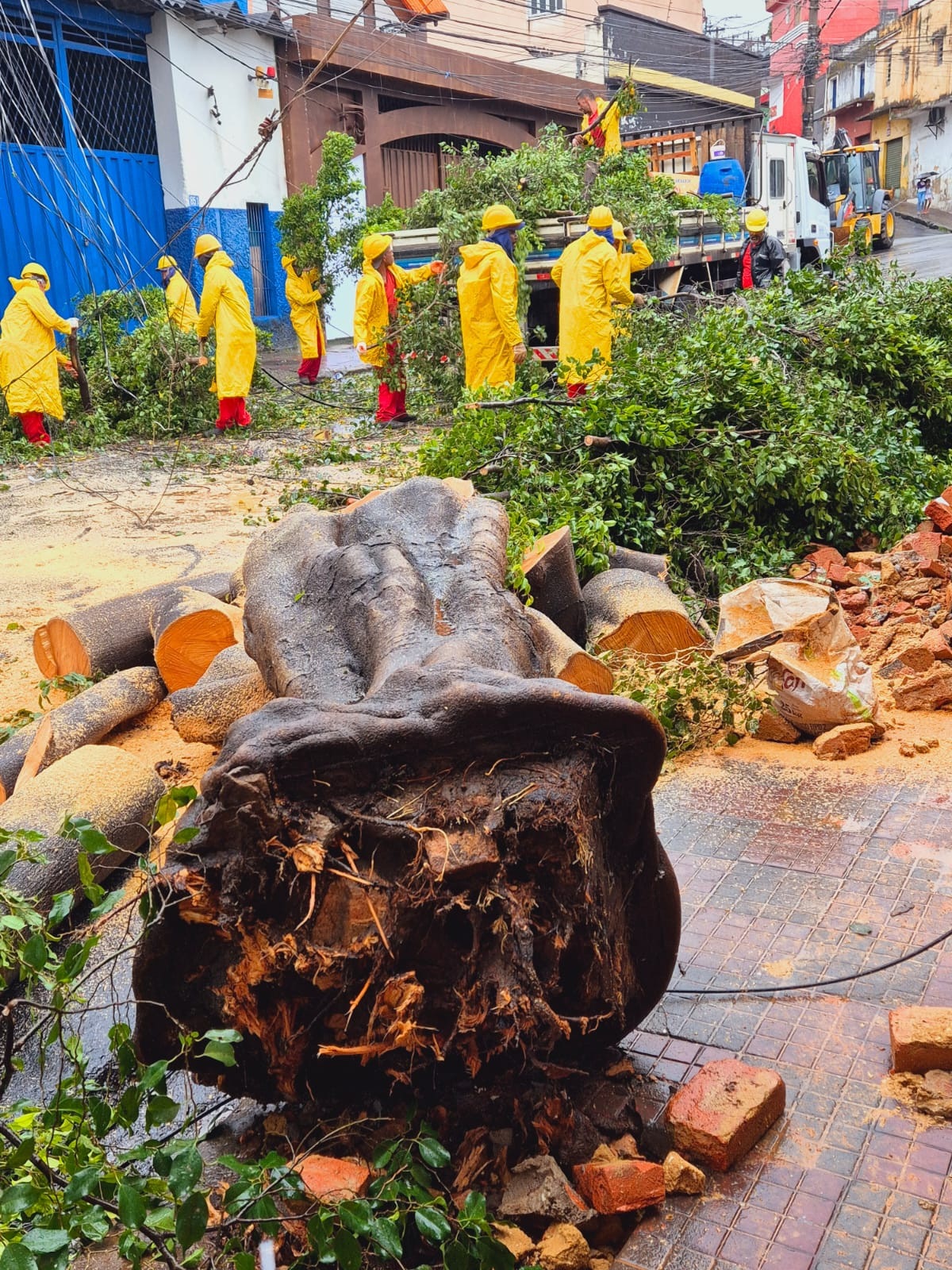 A chuva forte causou quedas de árvores, alagamentos e impactou o trânsito na capital na manhã desta quarta feira (16/04) -Jair Amaral/EM/D.A Press