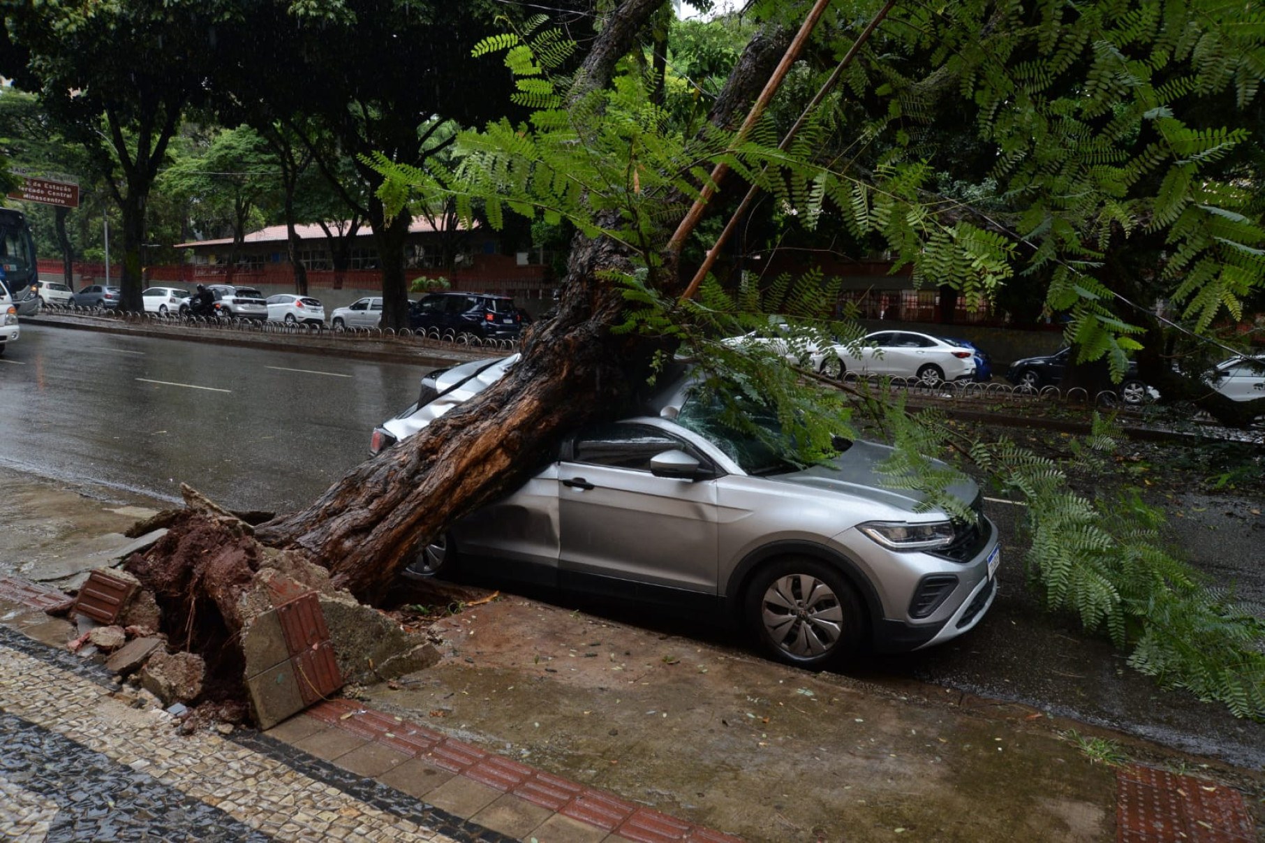 A árvore atingiu um carro que estava estacionado, que ficou destruído. -Túlio Santos/EM/D.A Press