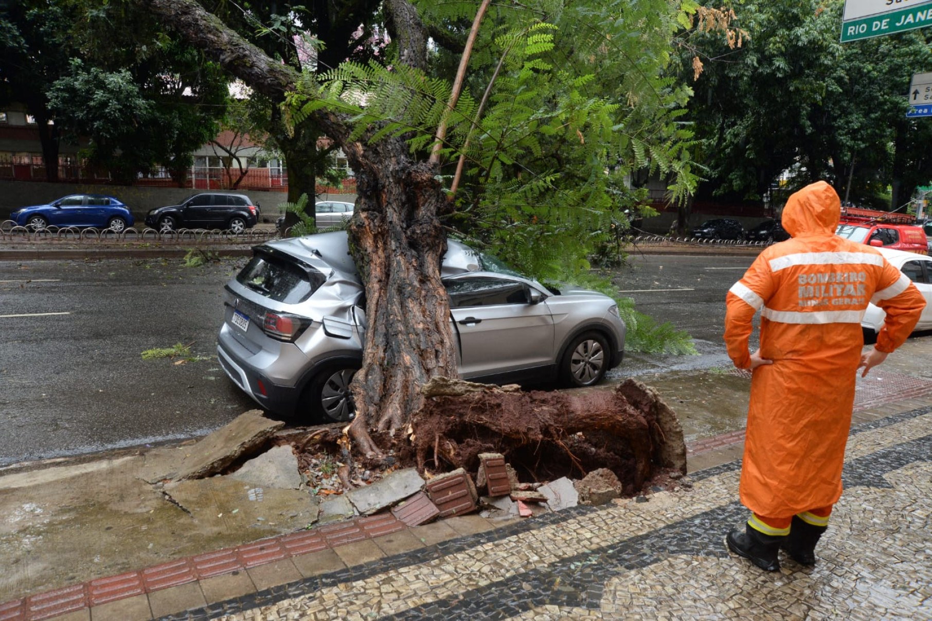 De acordo com o Corpo de Bombeiros, o corte da árvore só poderá ser feito após a chegada da Cemig-Túlio Santos/EM/D.A Press