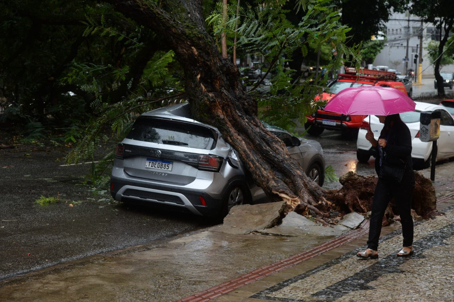 A árvore atingiu um carro que estava estacionado, que ficou destruído. -Túlio Santos/EM/D.A Press