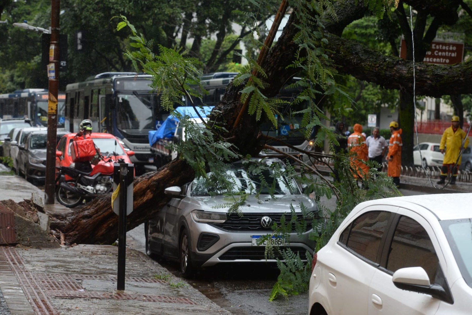A árvore atingiu um carro que estava estacionado, que ficou destruído. -Túlio Santos/EM/D.A Press