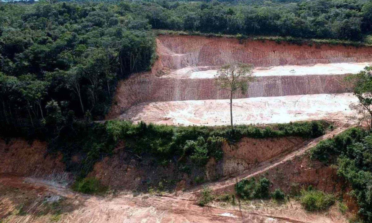 Um total de 118 hectares de vegetação nativa foi desmatado ilegalmente -  (crédito:  Mateus Parreiras/EM/D.a press)