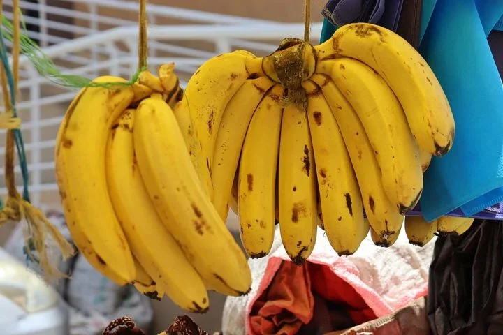 Até mesmo os próprios consumidores podem ajudar a conter o problema. "Na próxima vez que for comprar bananas, experimente alguns tipos diferentes que possam estar disponíveis no comércio local", aconselhou a pesquisadora.