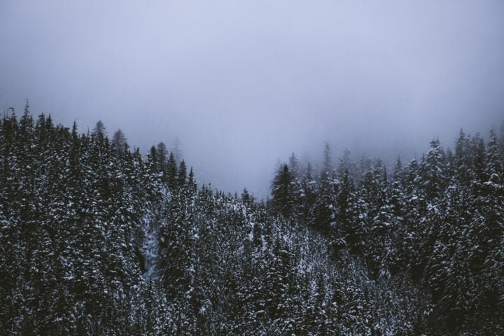 Eles desapareceram em um suposto acidente de avião enquanto viajavam de Anchorage para Juneau. Apesar de quase 40 dias de busca, nenhum destroço ou corpos foram encontrados.