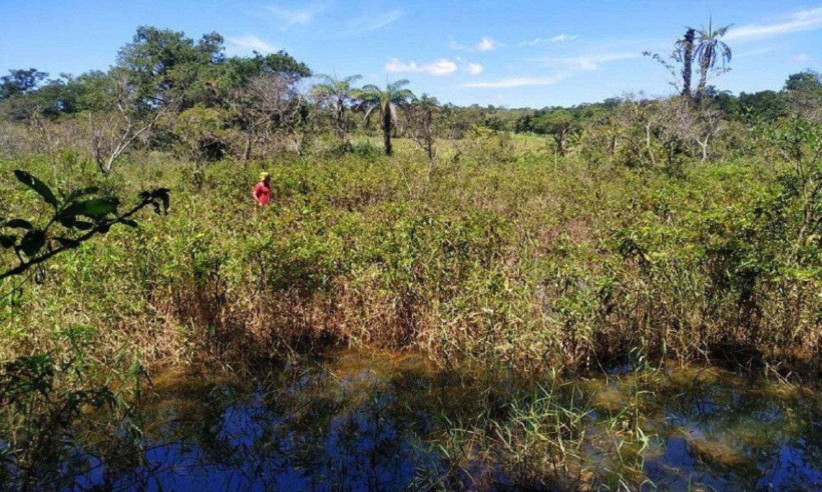 Com as fortes chuvas, local em que pescador estava alagou -  (crédito: CBMMG)