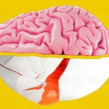 O que é a colina, nutriente vital para o cérebro (e em quais alimentos é encontrada)