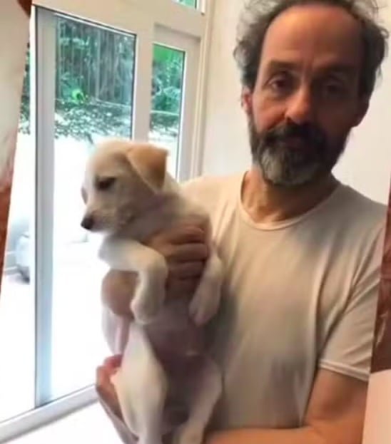 A veterinária então sugeriu que os cães não voltassem ao sítio e, posteriormente, os deu para adoção sem avisar Letícia e seu marido, o também ator Daniel Dantas.