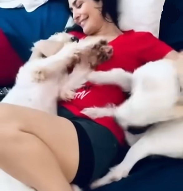 O casal afirma que nunca autorizou a ação e que chegou a expressar o desejo de continuar com os animais. A veterinária se defendeu, dizendo que fez a "coisa certa".