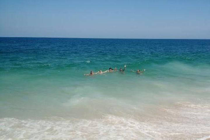 O estudo foi feito pela organização Sea Shepherd Brasil em conjunto com o Instituto Oceanográfico da USP. Confira o ranking com as 5 praias mais poluídas do Brasil!