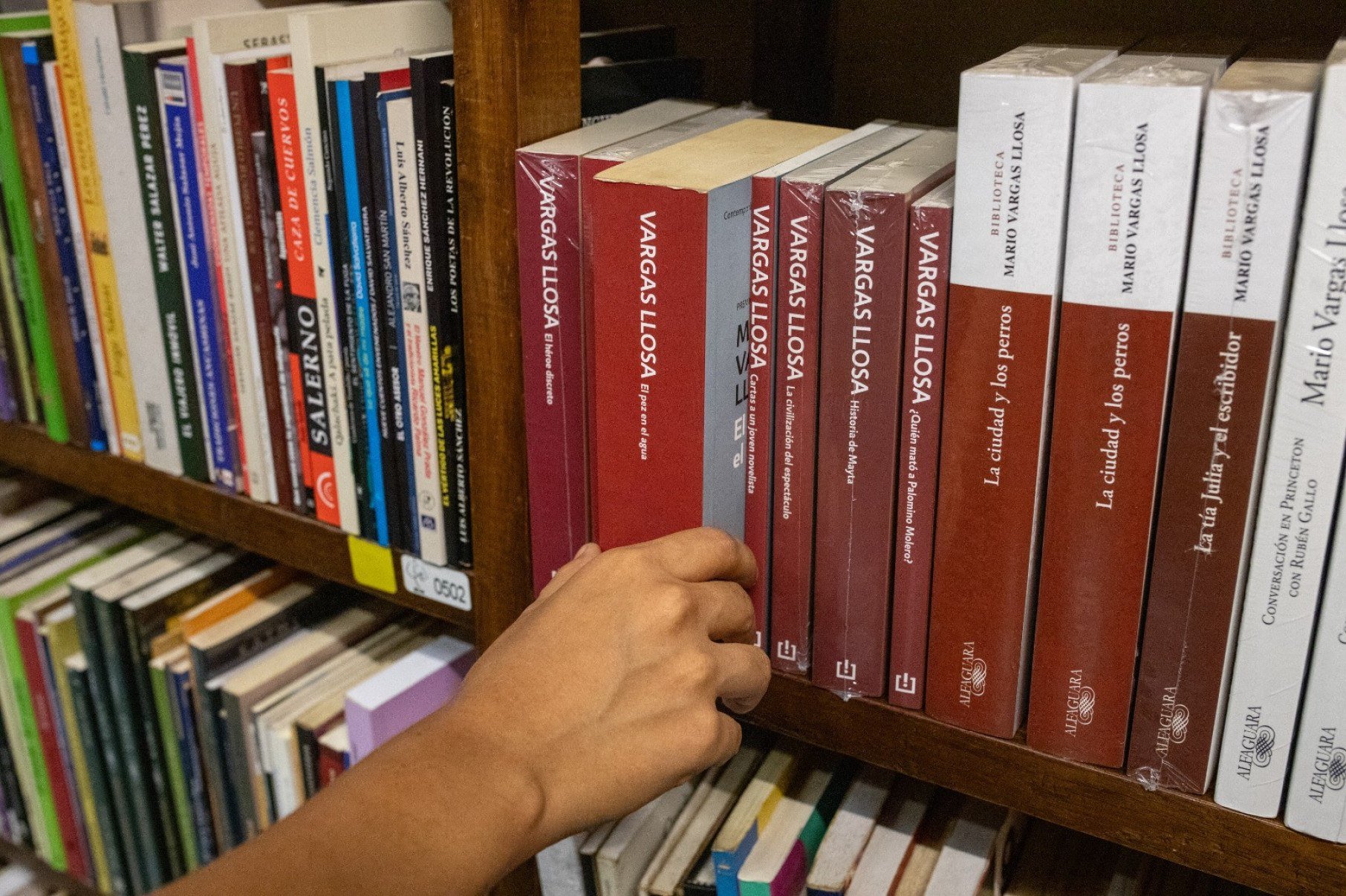 Livros escritos pelo peruano Mario Vargas Llosa -  (crédito: Renato Pajuelo / AFP)
