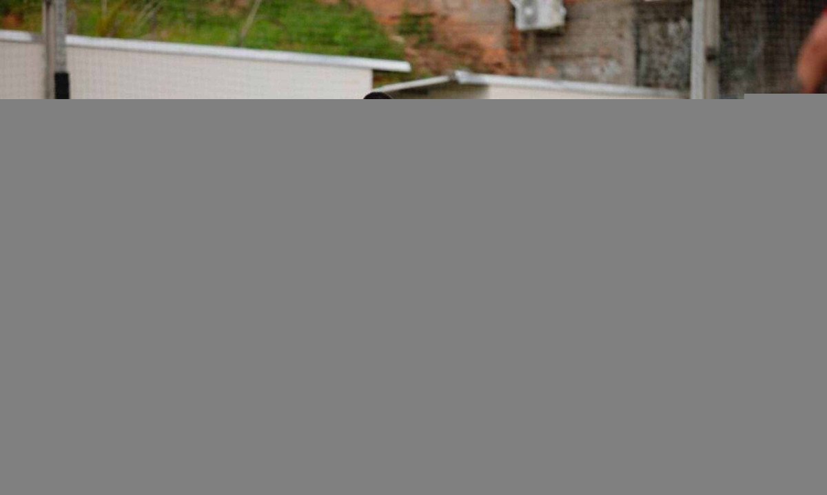 Ex-goleiro do Cruzeiro fatura alto com conteúdo adulto; descubra quem é o craque -  (crédito: Tupi - Pablo Oliveira)